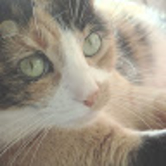 Meet your Posher, Alise - Picture 1 of 1